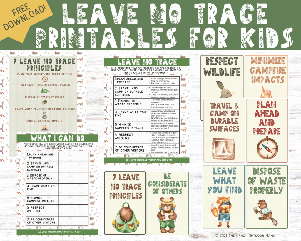 7 Leave No Trace Principles Printable PDF Worksheet For Kids Girl Scout Activities Cub Scout Activities Girl Scout Camping