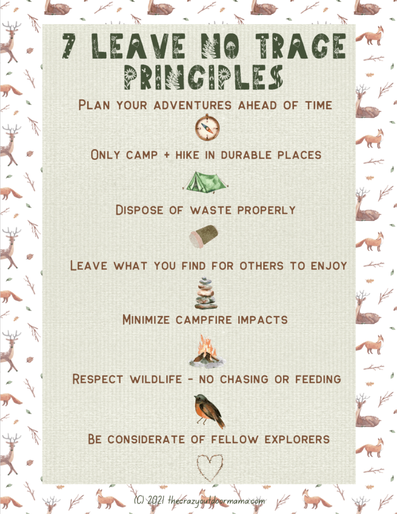 7 Leave No Trace Principles Printable PDF Worksheet For Kids Scout Quotes Girl Scouts Leave No Trace