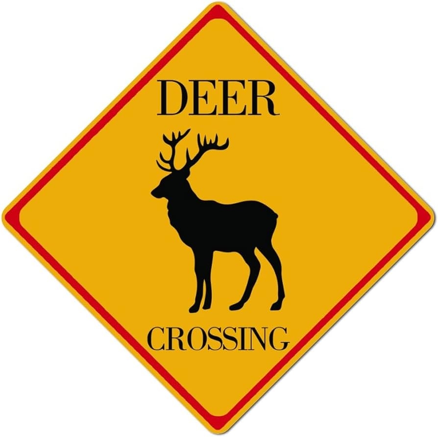 Amazon Deer Crossing Traffic Sign Black Text With Yellow Background Metal Sign Farmhouse Lawn Signage Home Bar Shop Decorations 10 x10 Home Kitchen