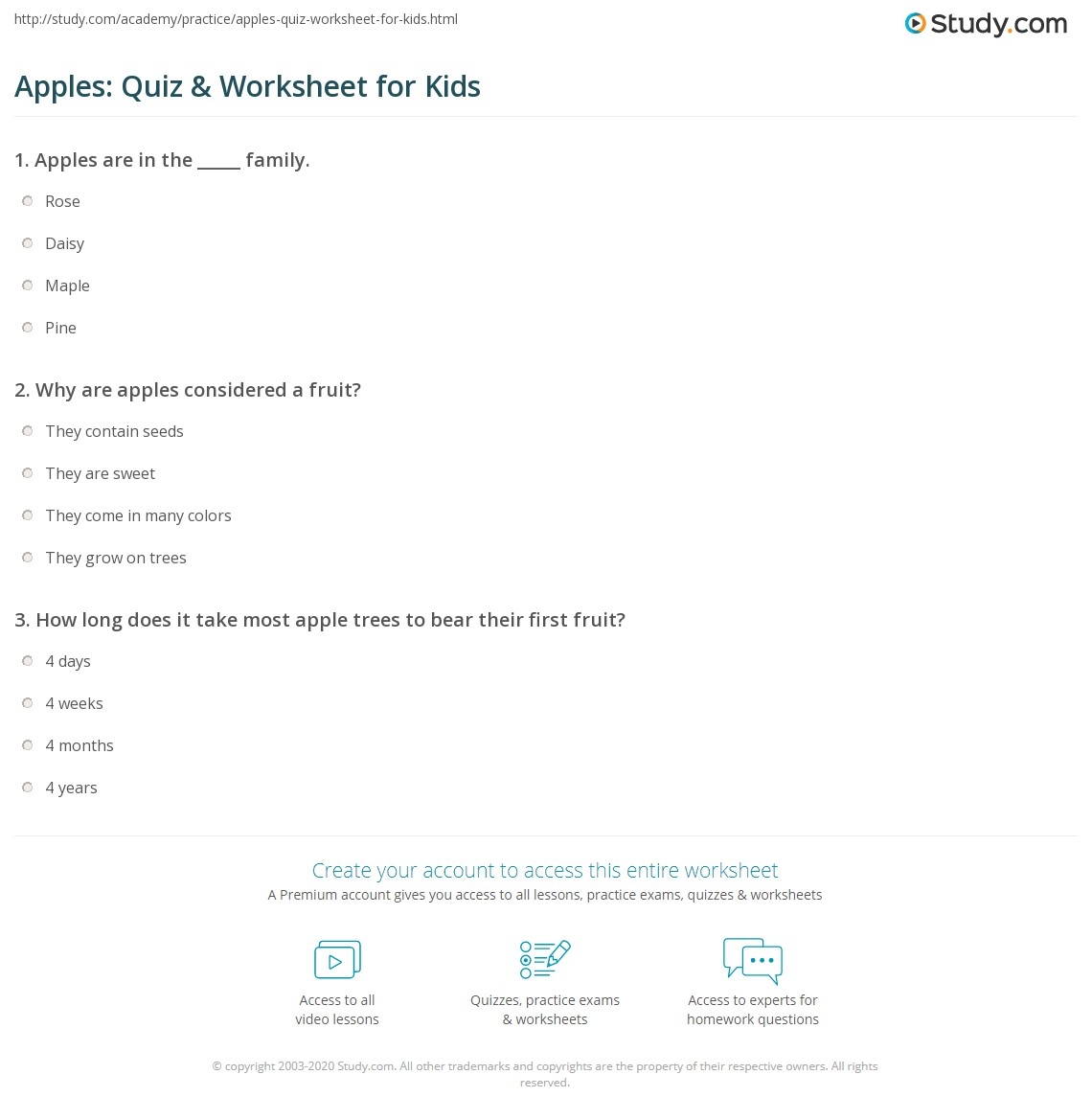 Apples Quiz Worksheet For Kids Study