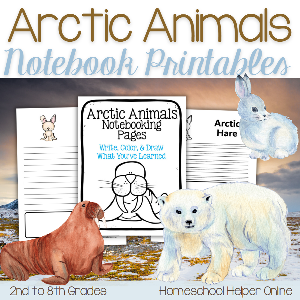 Arctic Animals Notebooking Pages For K 8th Grades