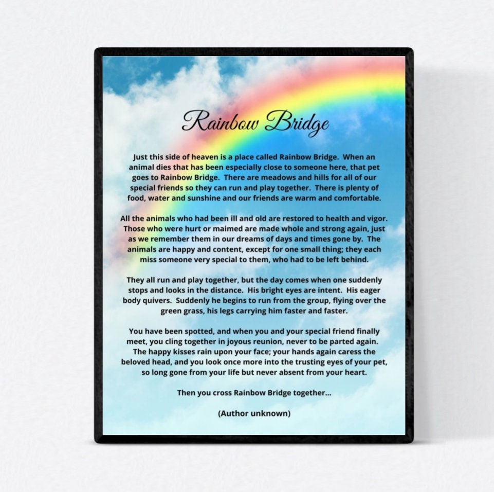 Art Print RAINBOW BRIDGE For Loss Of Cat Dog Or Other Pet 8x10 Inch Picture Vivid Colors To Display On Desk Shelf Or Wall Pet Memorial Gift Etsy