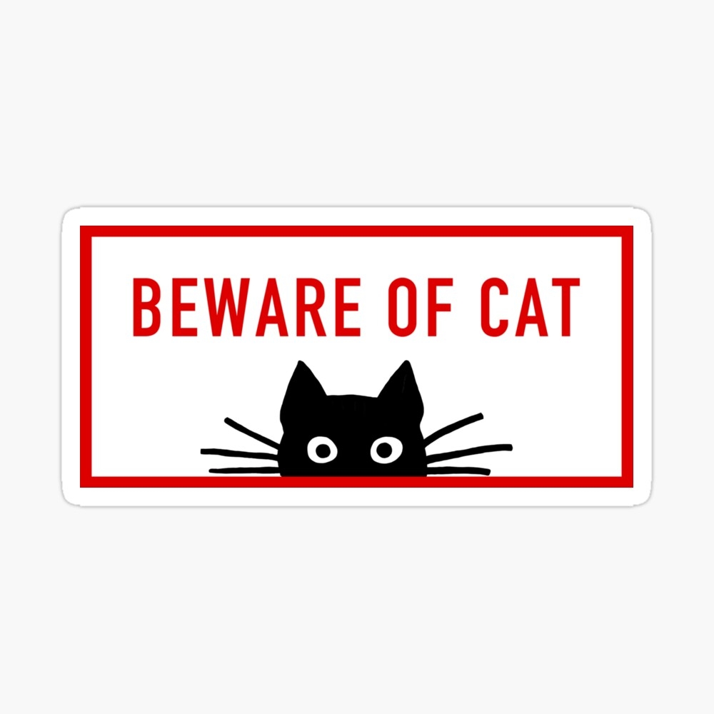 BEWARE OF CAT Sneaky Black Cat Photographic Print For Sale By Jenn Inashvili Redbubble