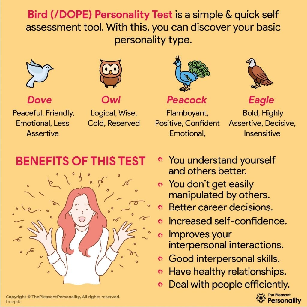 Bird Personality Test All You Need To Know