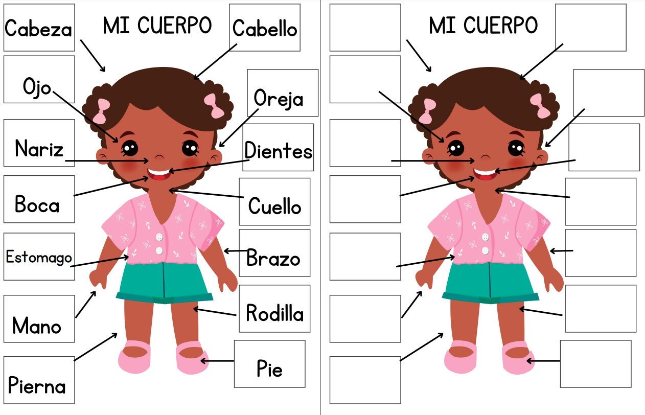Body Parts In Spanish For Kids Interactive Printable Study Guide Etsy