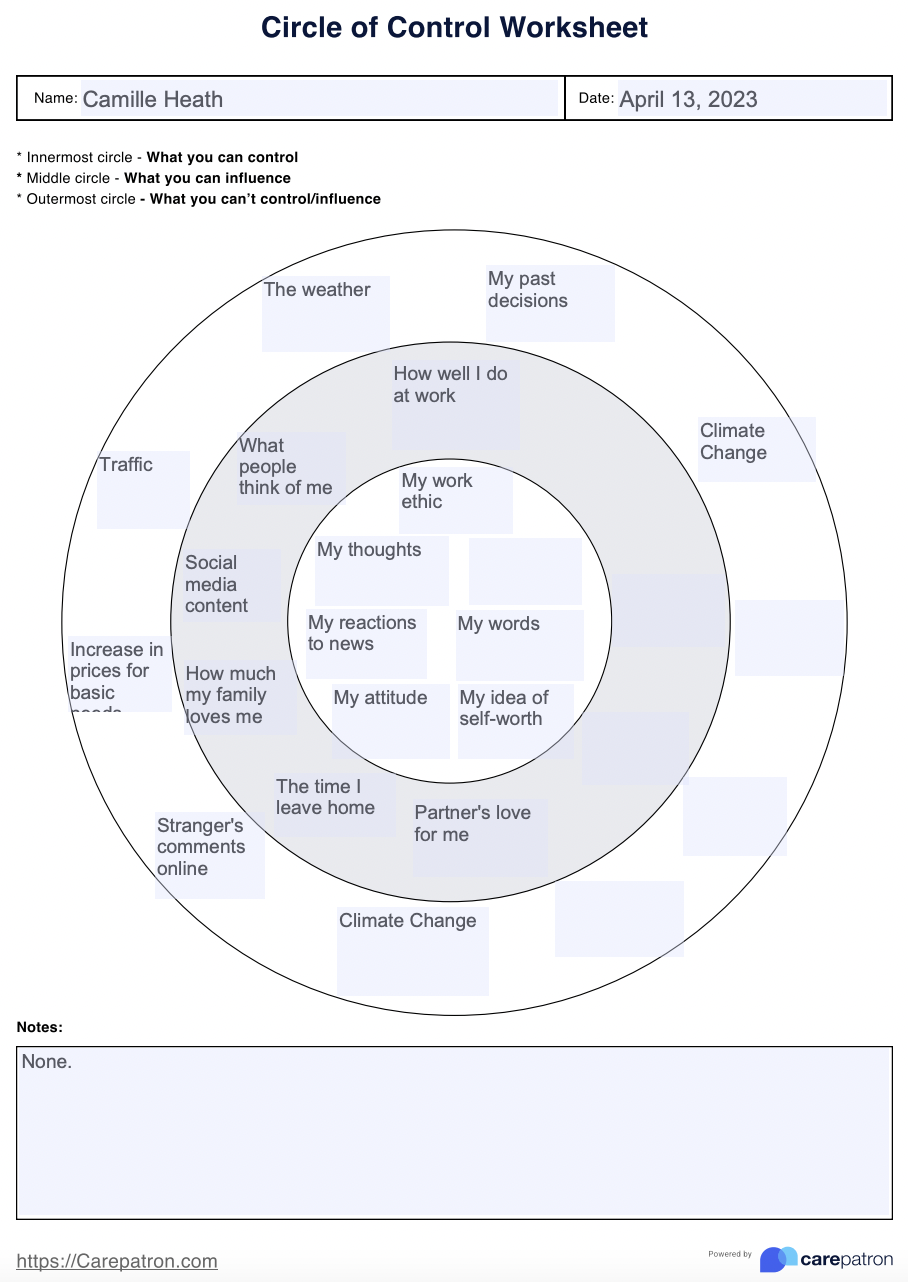 Circle Of Control Worksheet Example Free PDF Download