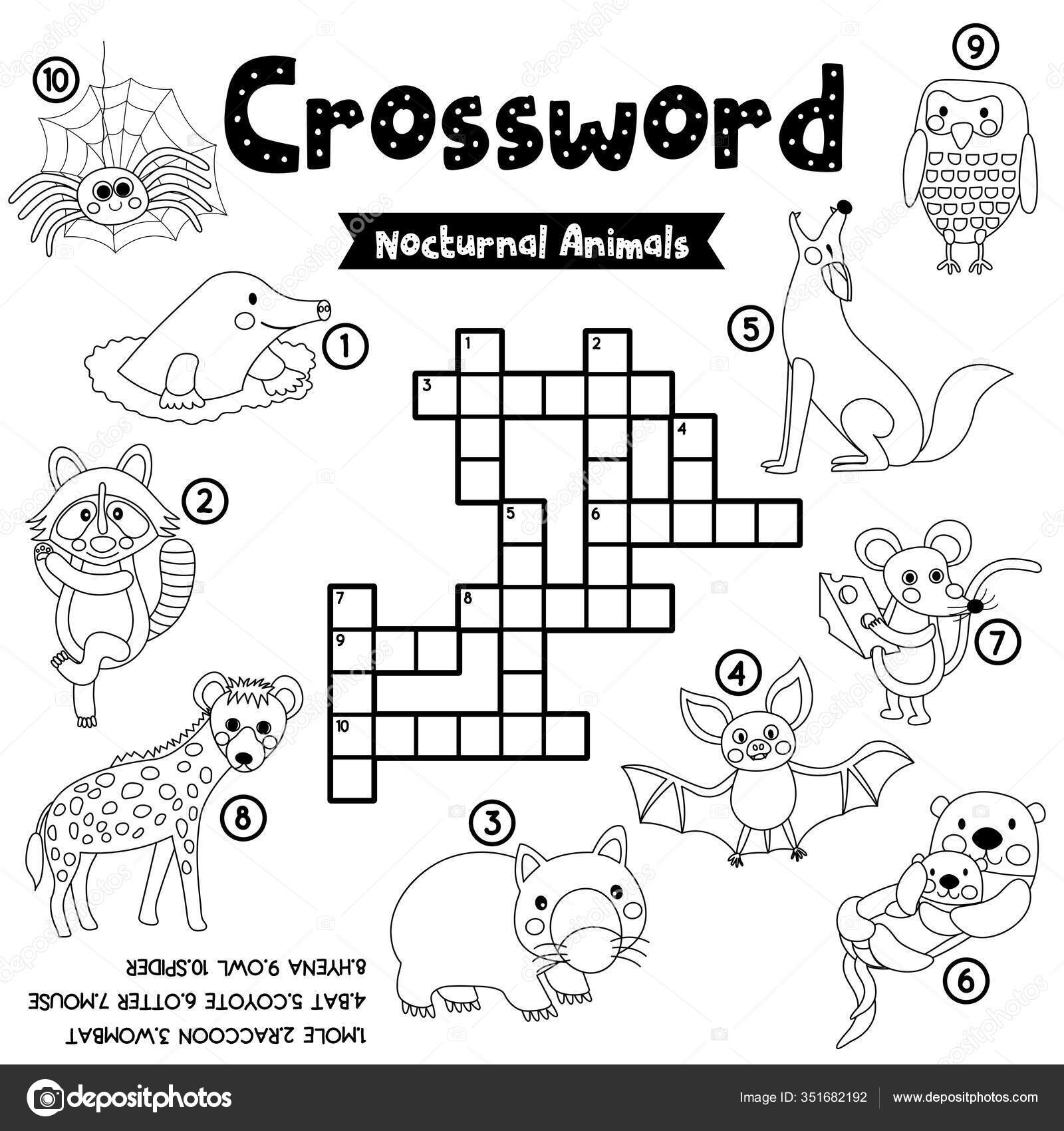 Crosswords Puzzle Game Nocturnal Animals Preschool Kids Activity Worksheet Coloring Stock Vector By natchapohn 351682192