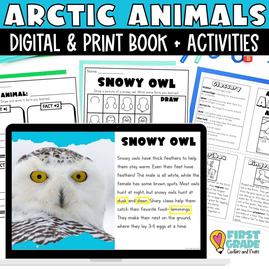 Engaging Arctic Animals Printables First Grade Centers And More