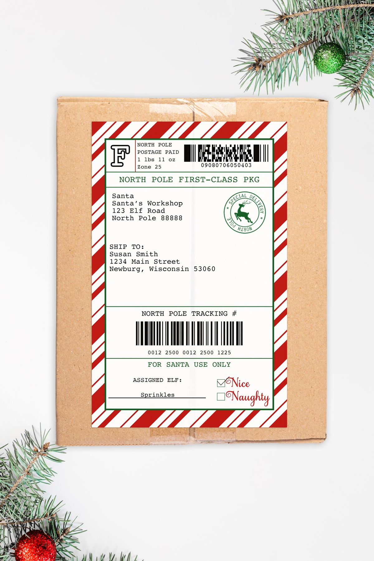 Free Customizable Elf On The Shelf Mailing Label