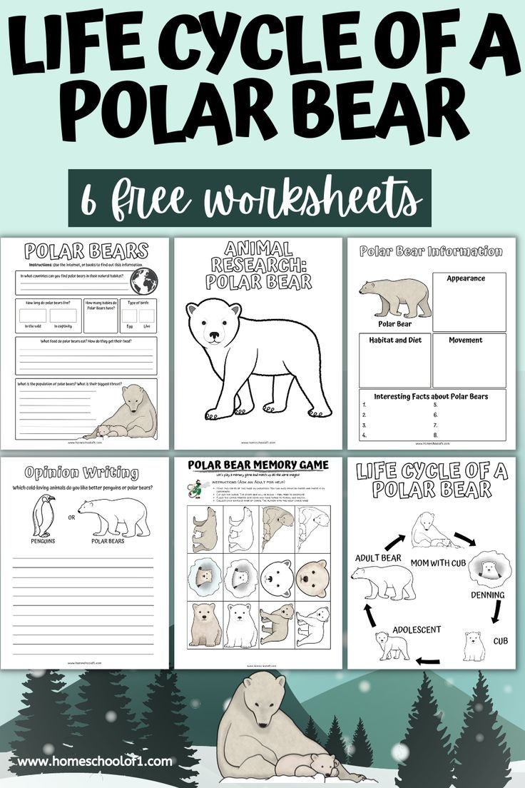 Printable Polar Bear Worksheets