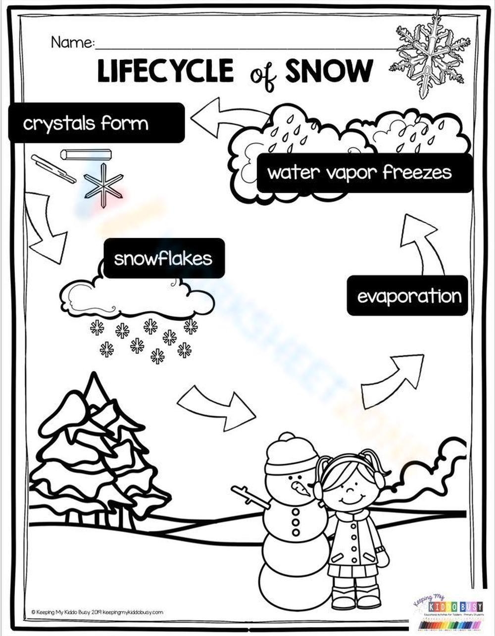 Free Printable Life Cycle Of A Snowflake Worksheets