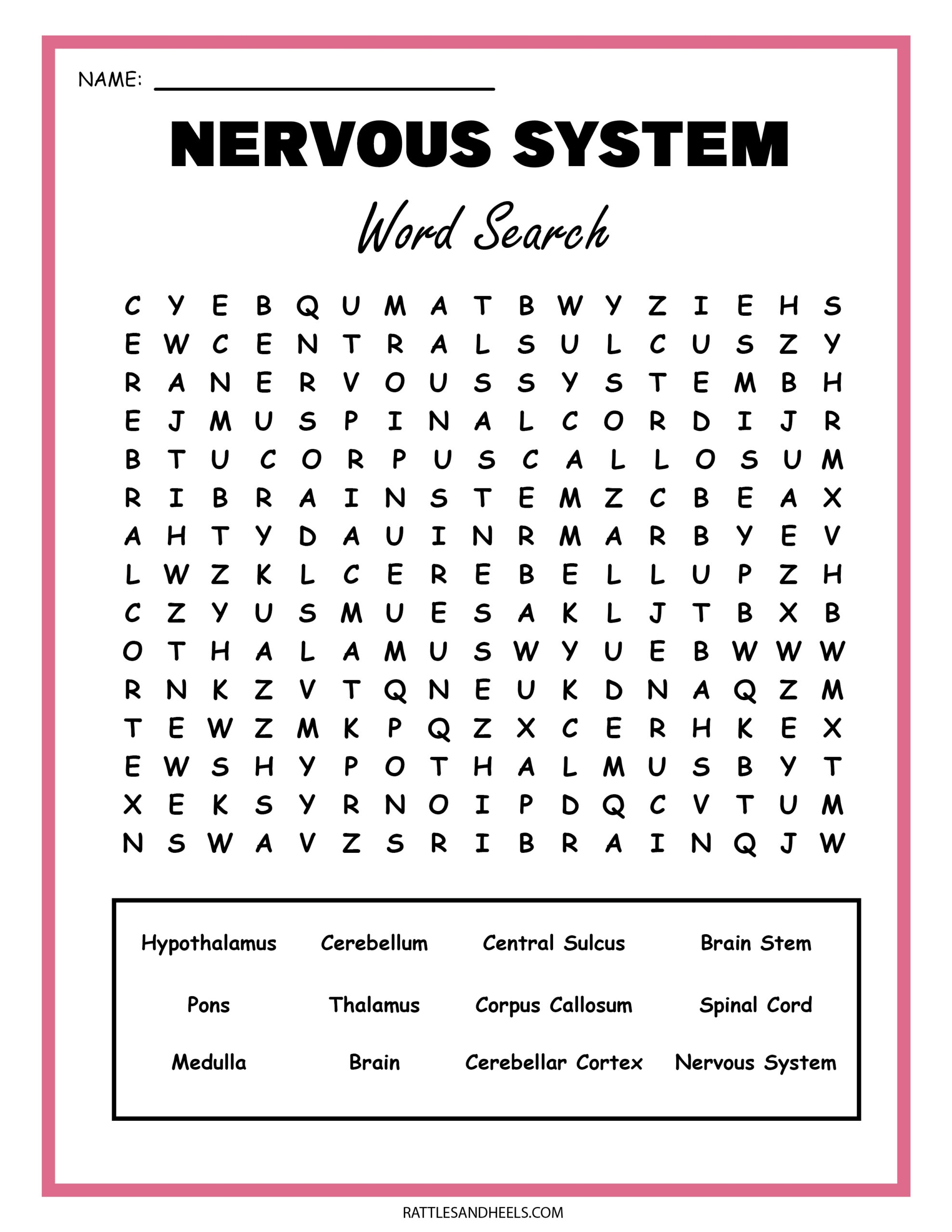 Free Science Worksheets The Nervous System Adanna Dill