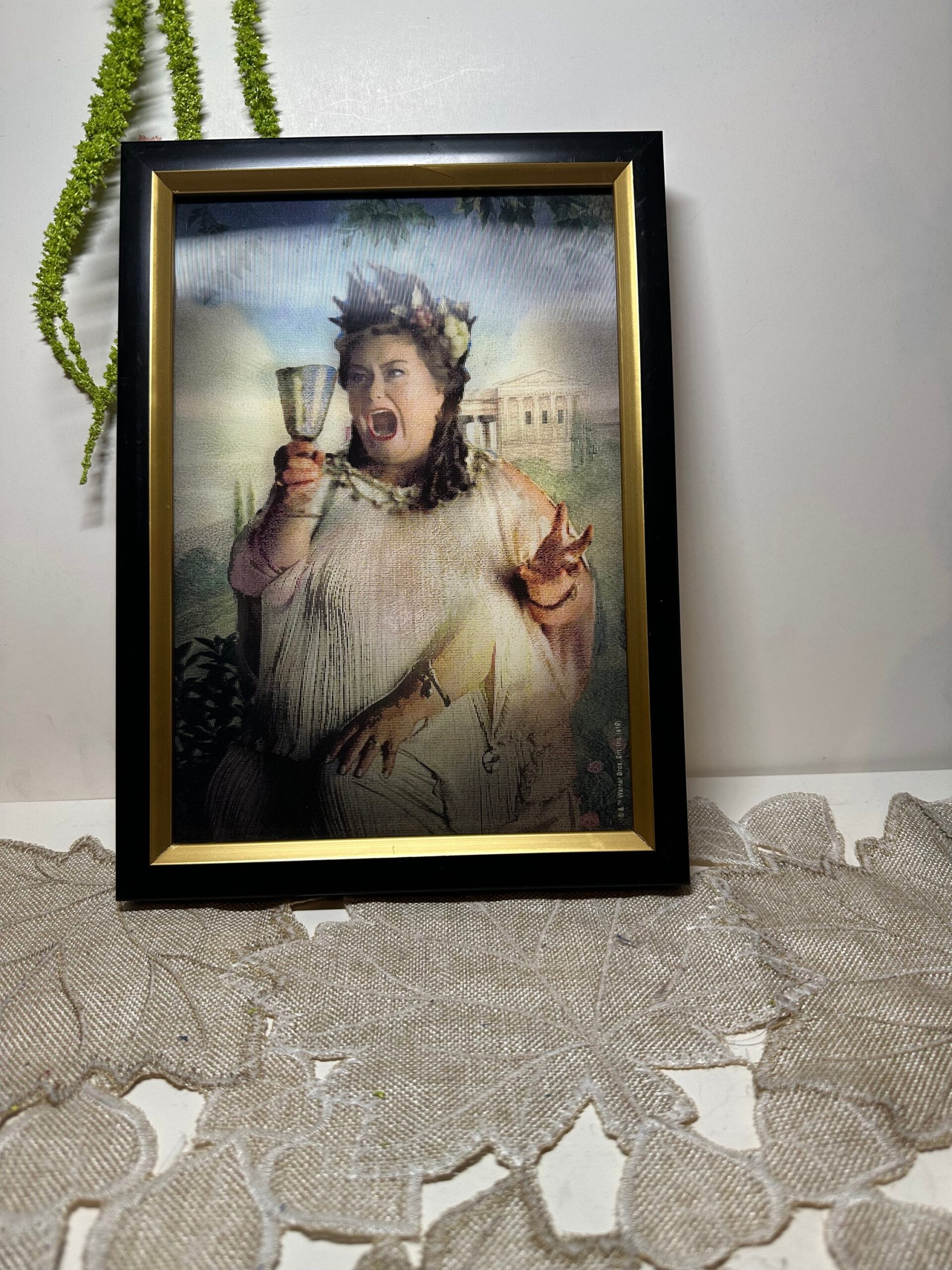 Harry Potter Flapper Fat Lady Framed Picture Etsy