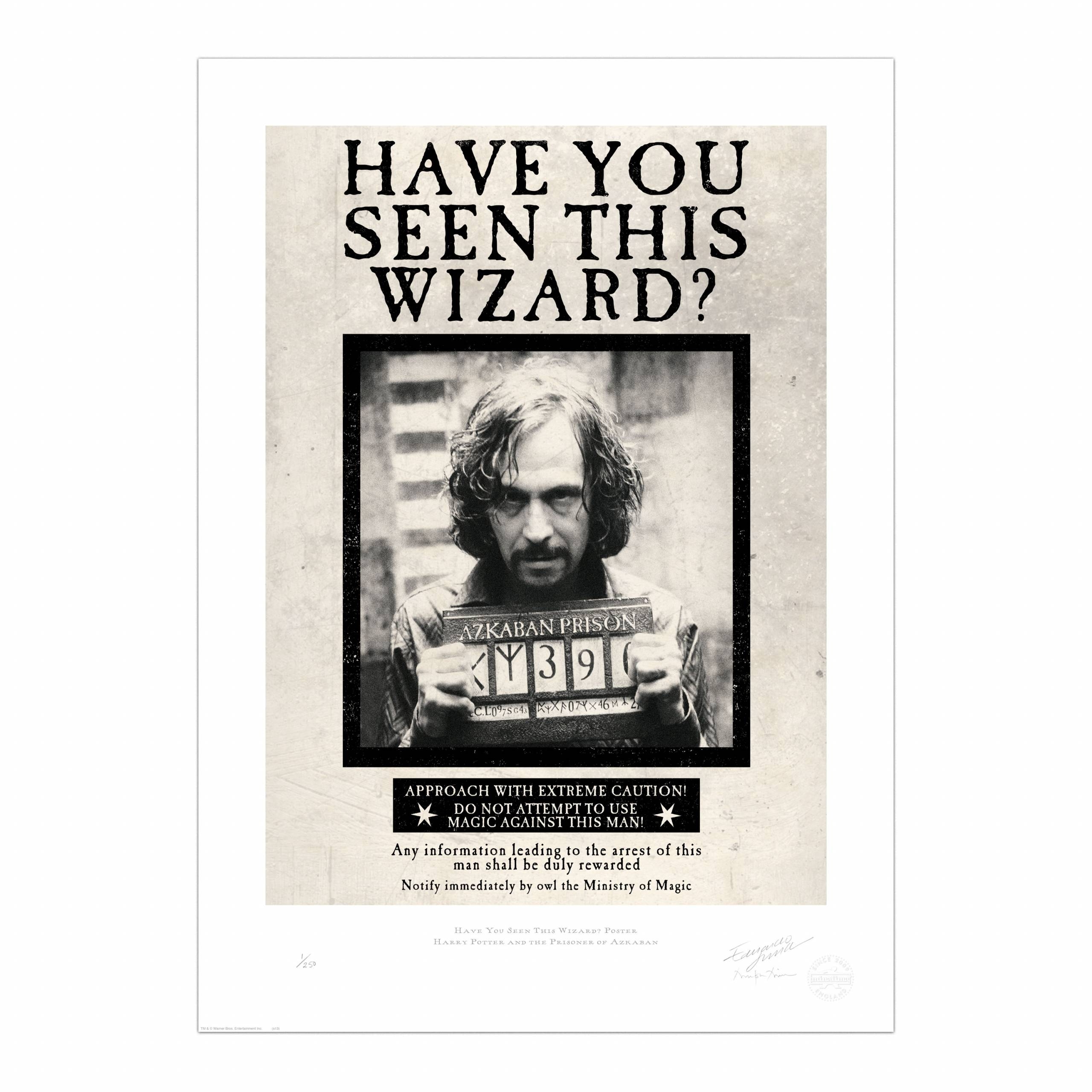 Harry Potter Have You Seen This Wizard Printable