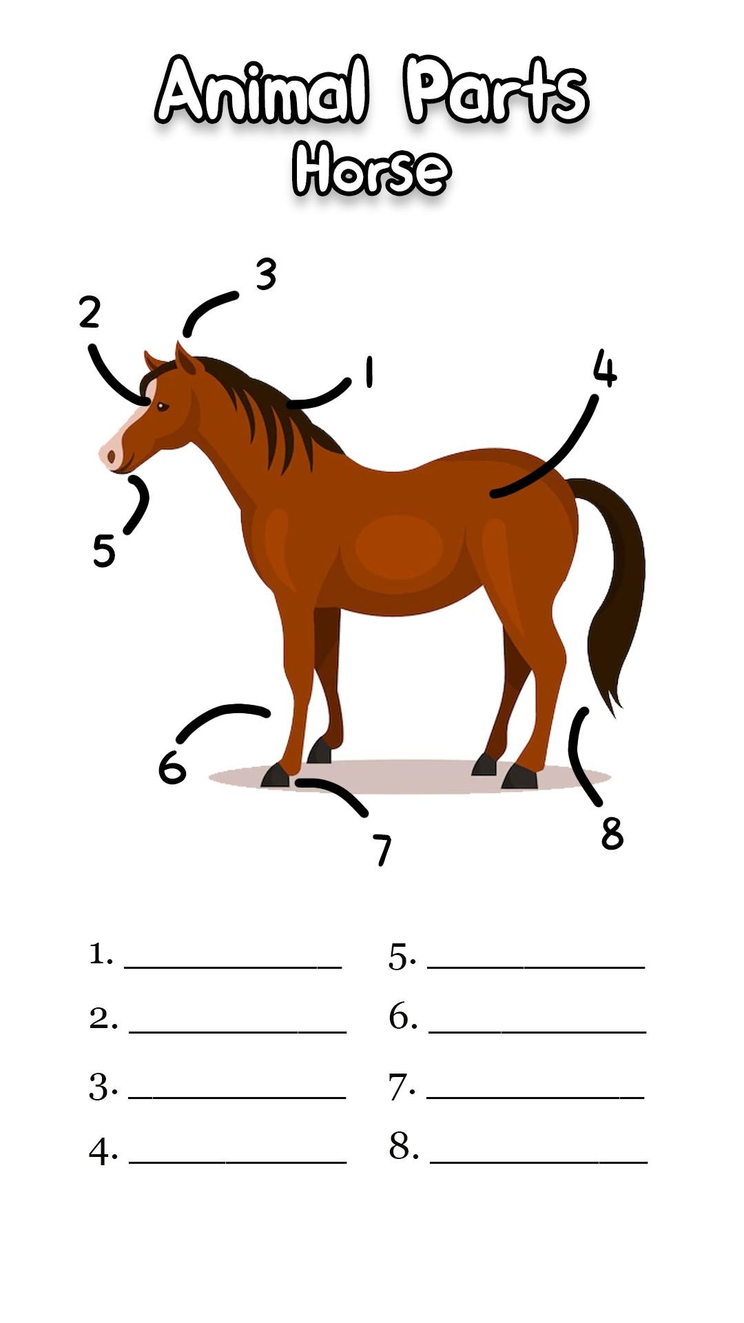 Horse Body Parts Worksheet Horse Riding Games Horse Camp Body Parts For Kids