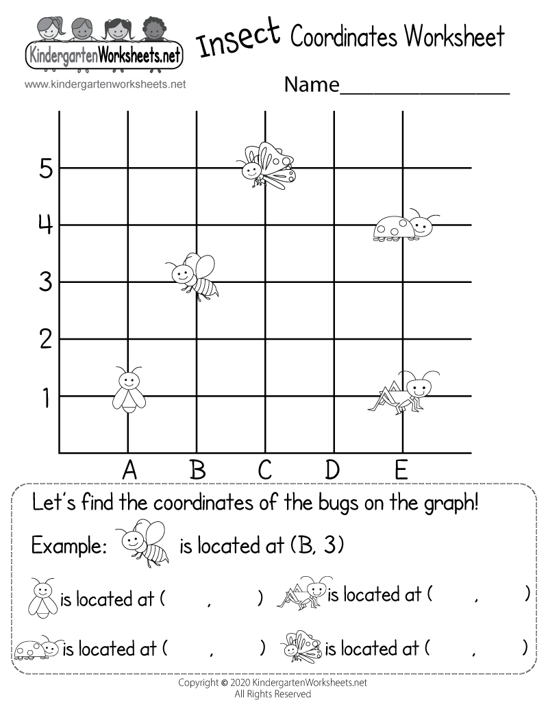 Insect Coordinates Worksheet Free Printable Digital PDF