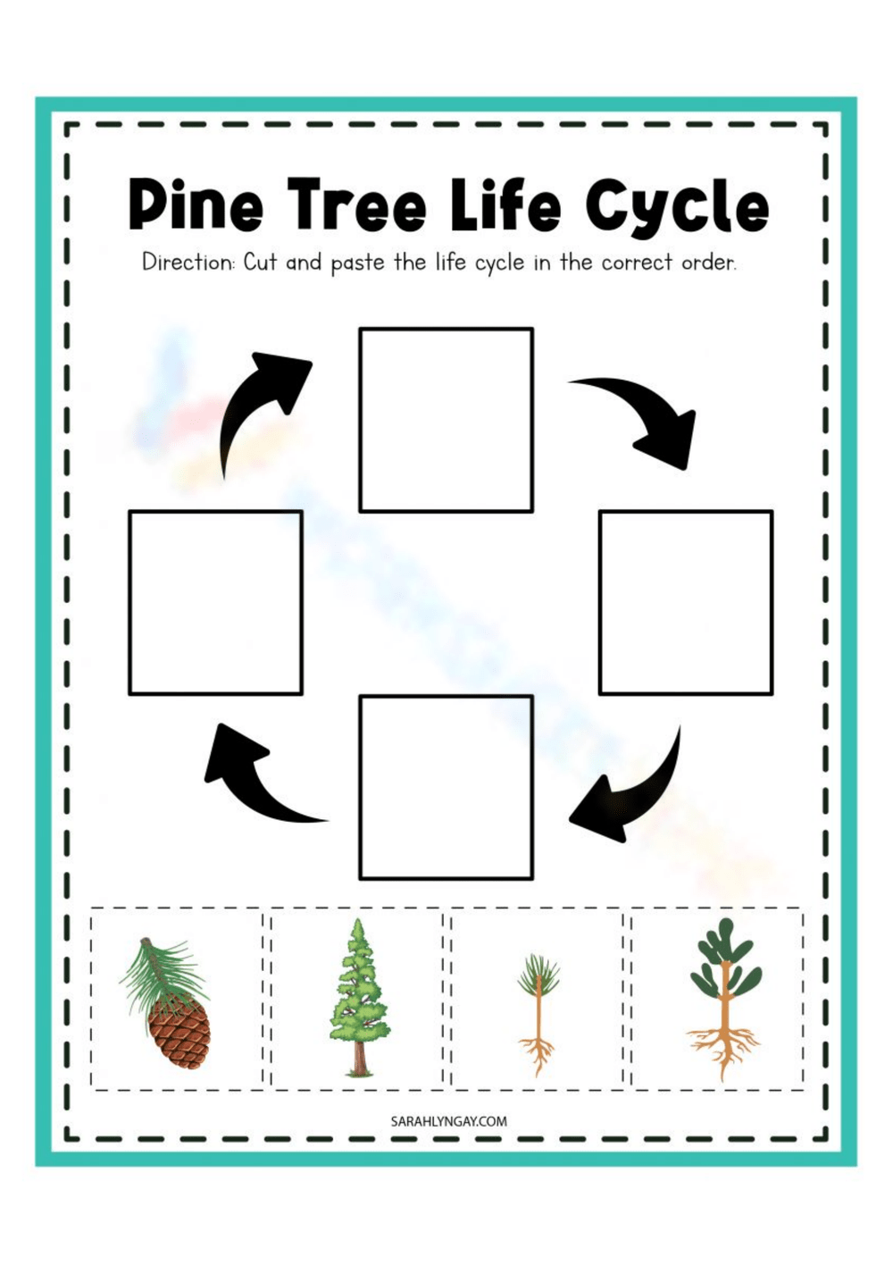 Kindergarten Tree Life Cycle Worksheets 2024