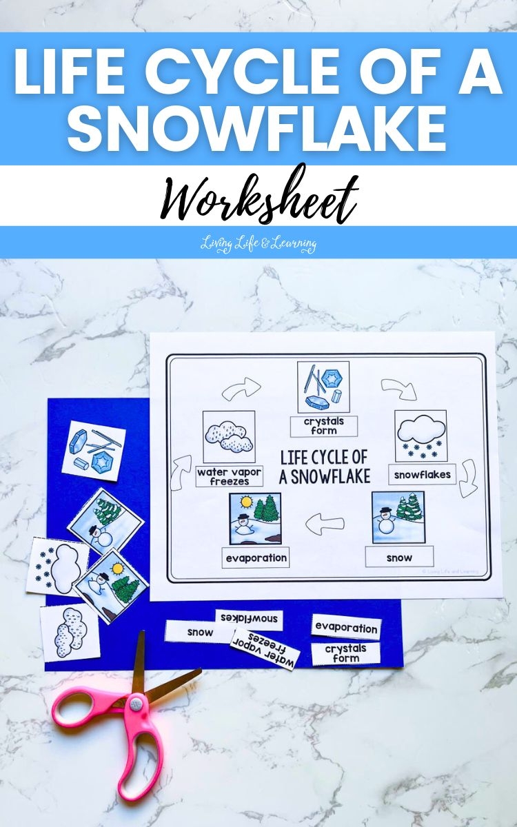 Life Cycle Of A Snowflake Worksheet