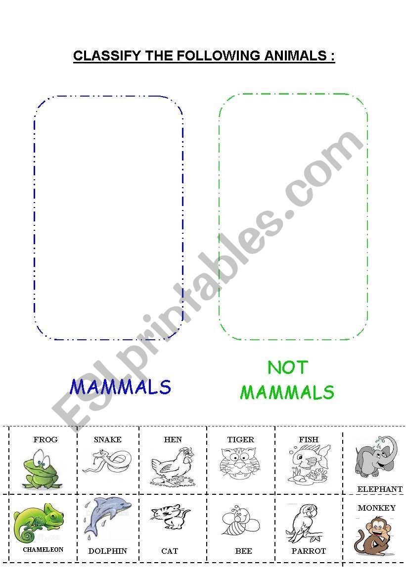 Printable Mammal Worksheets For Kindergarten