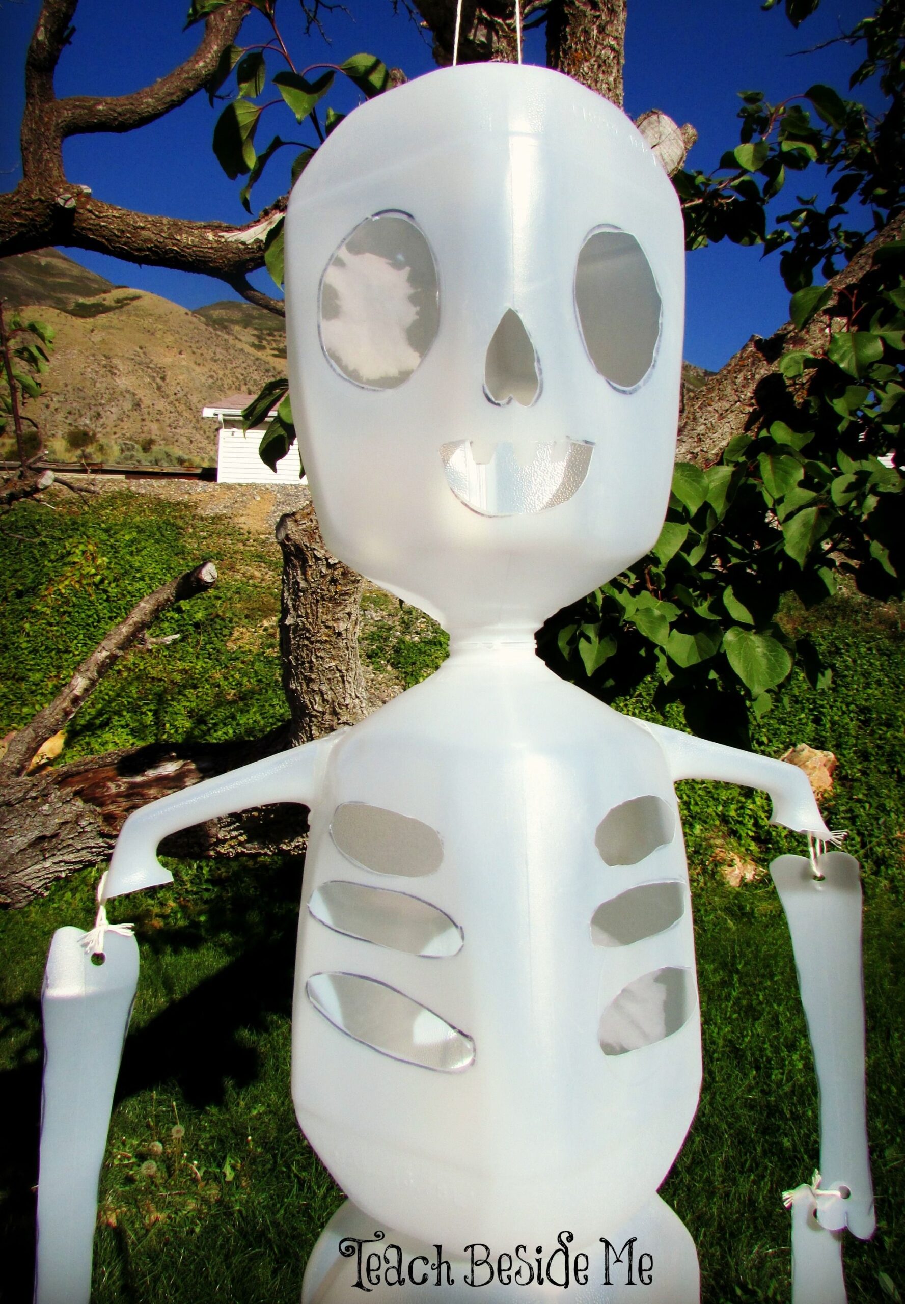 Printable Milk Jug Skeleton Template