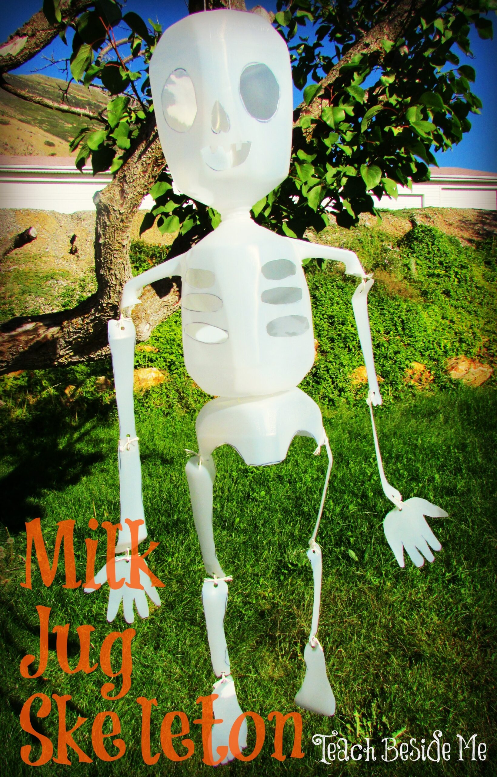 Milk Jug Skeleton Halloween Anatomy Teach Beside Me