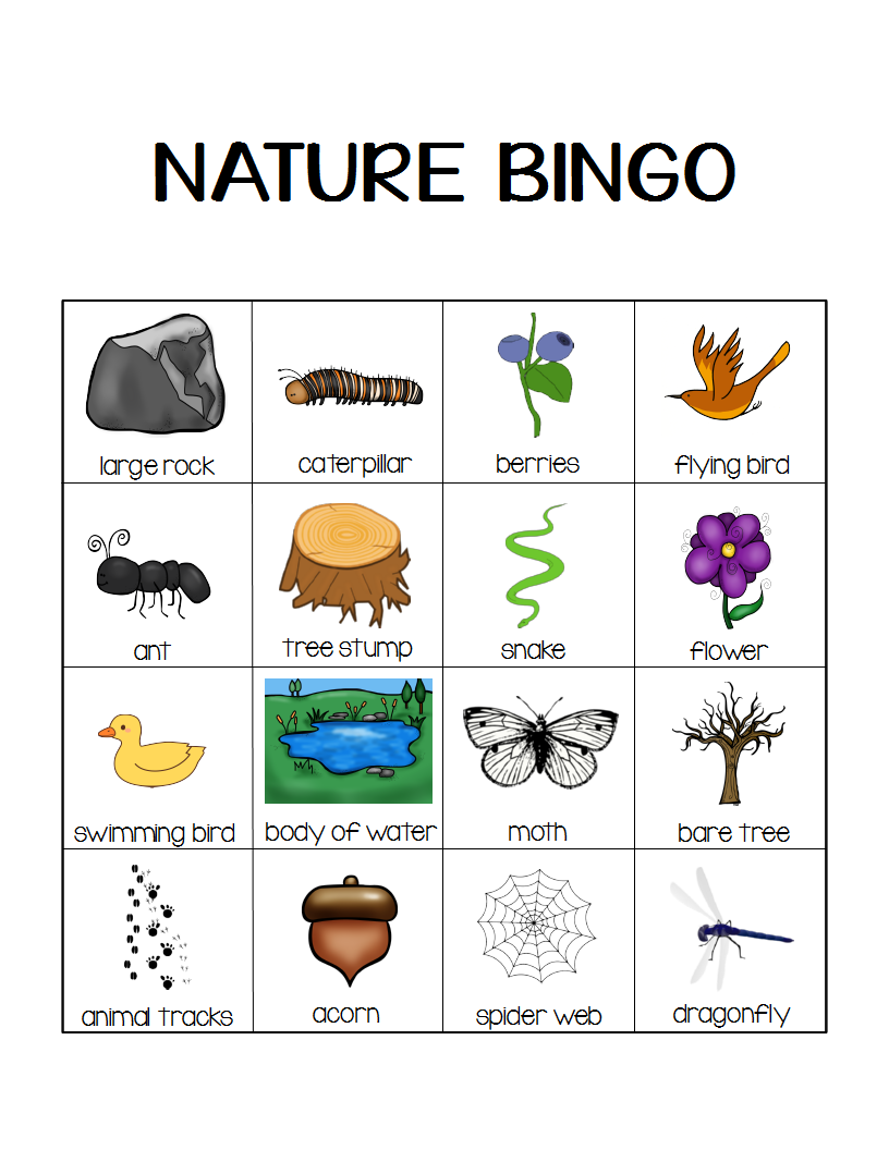 Nature Walk Bingo Printable Free