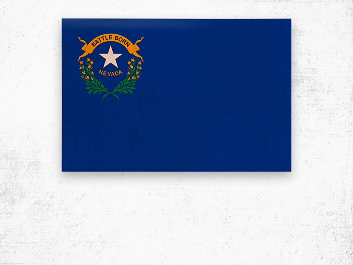 Nevada State Flag Printable