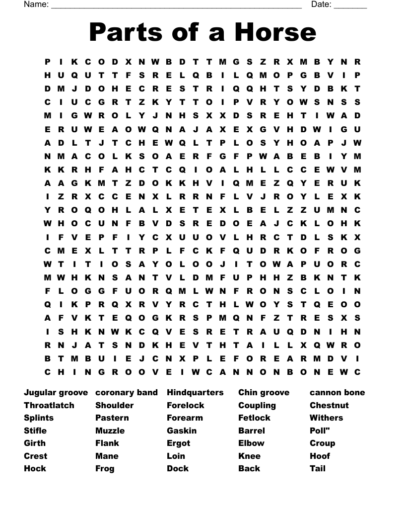 Parts Of A Horse Word Search WordMint