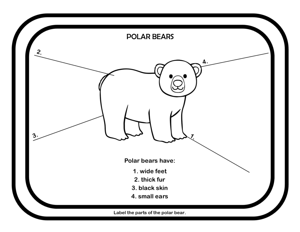 Polar Bears Unit Study The WOLFe Pack
