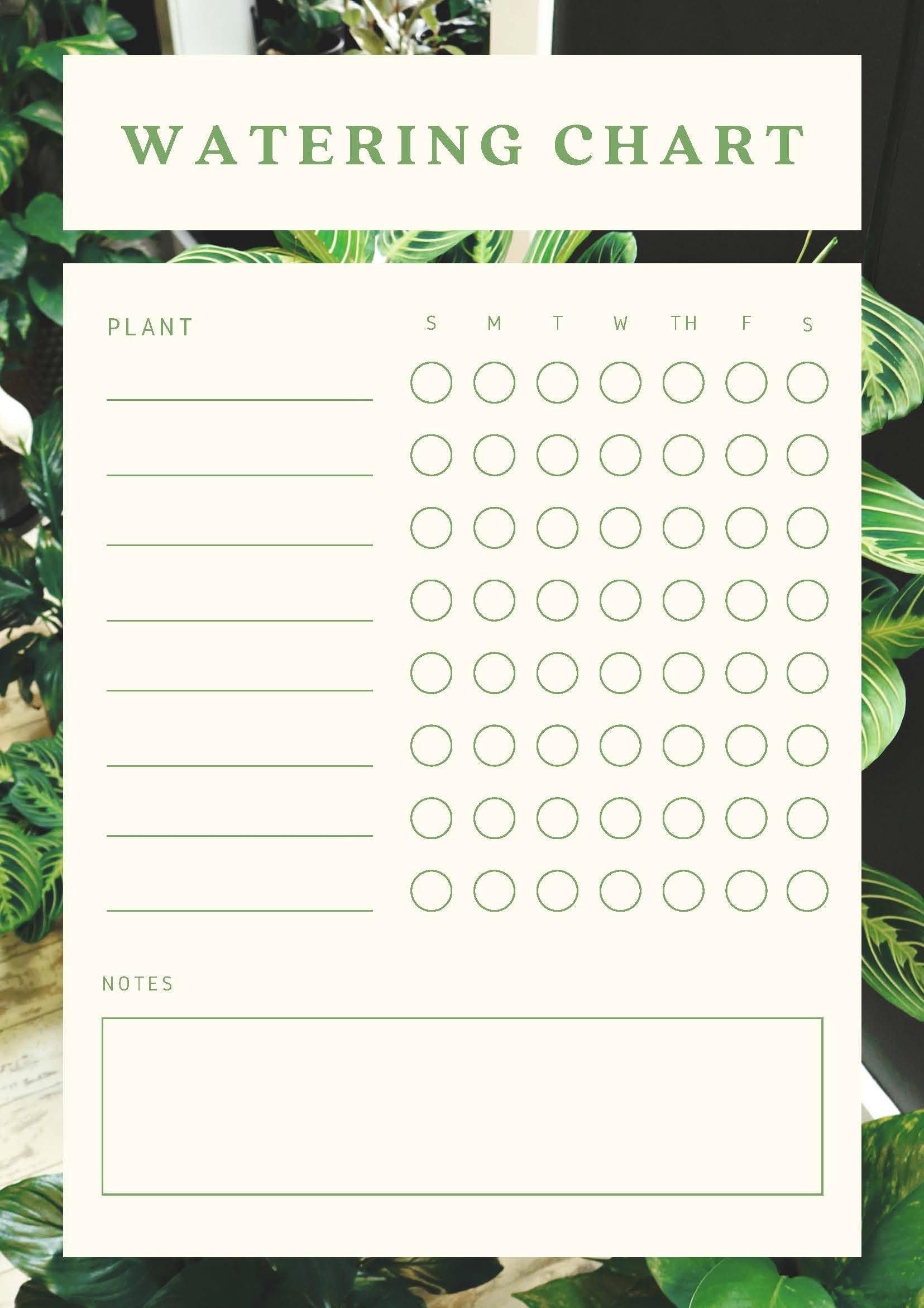 Printable Plant Watering Schedule Chart Etsy