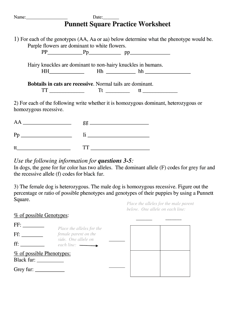 Printable Punnett Square Practice Worksheet