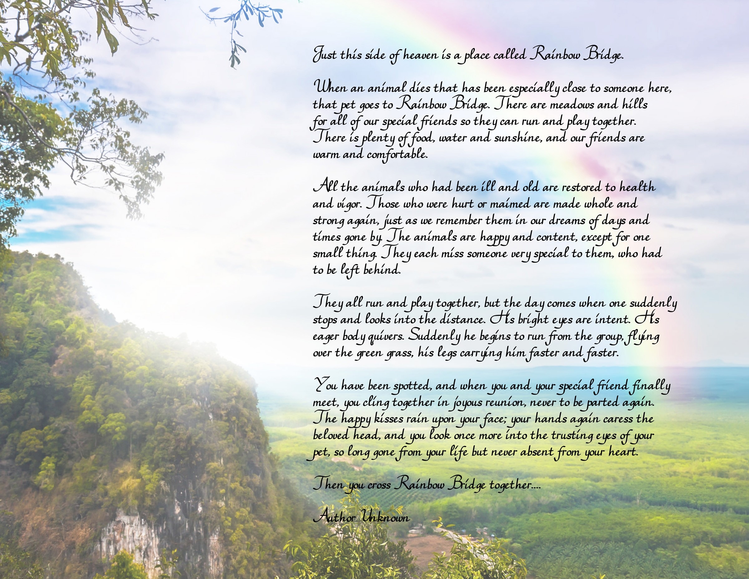 Rainbow Bridge Poem For Dogs Printable