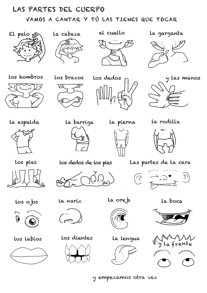 Printable Body Parts In Spanish