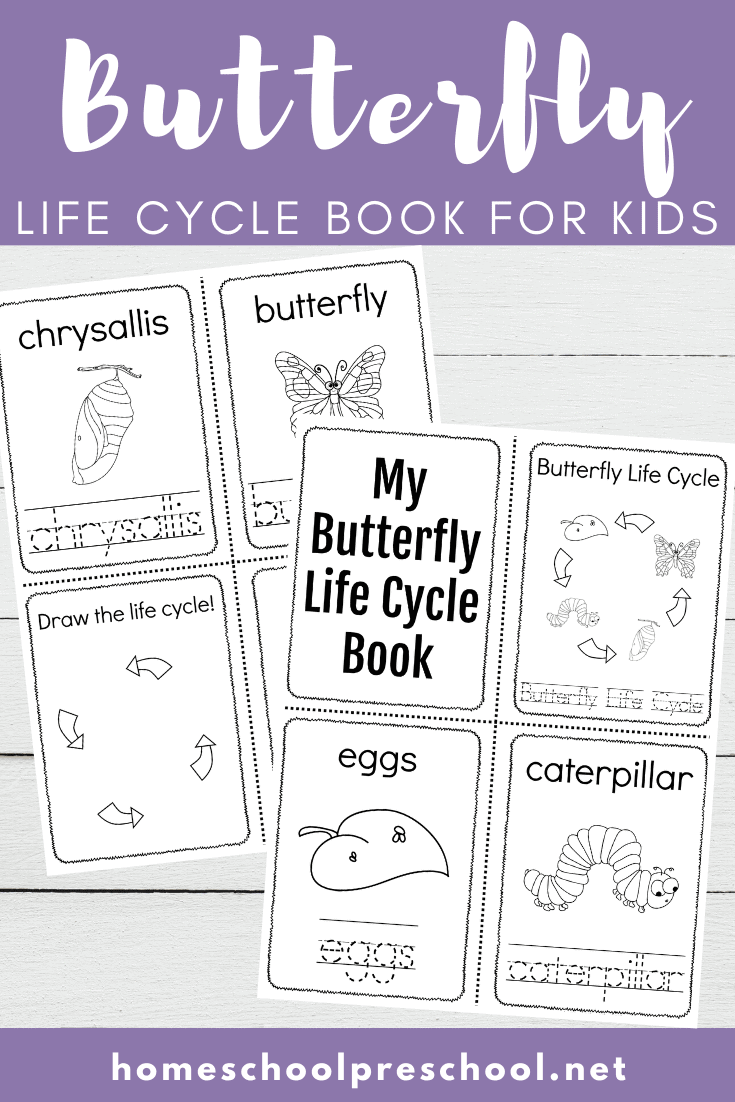 Simple Butterfly Life Cycle Printable Book For Preschoolers