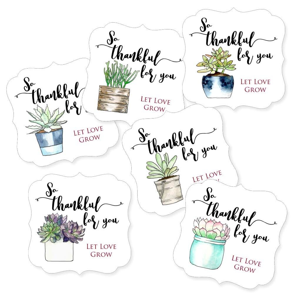 Succulent Thank You Stickers So Thankful For You Favors Sticker Labels Adore By Nat