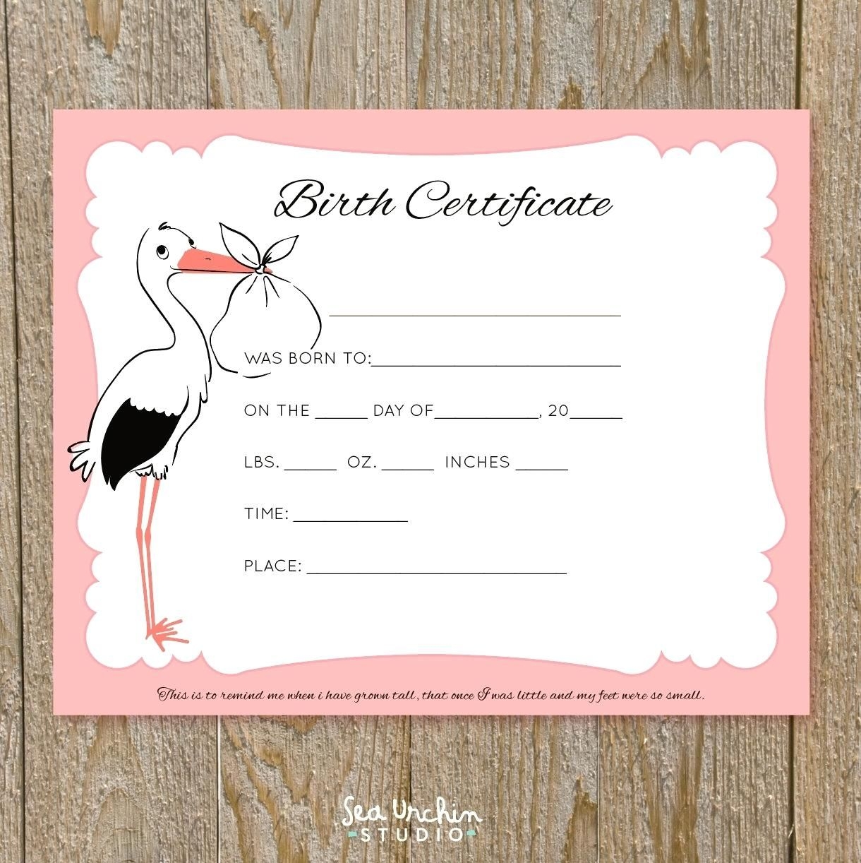 The Captivating Baby Doll Birth Certificate Template Or With Free Printable Regarding Baby D Birth Certificate Birth Certificate Template Certificate Templates