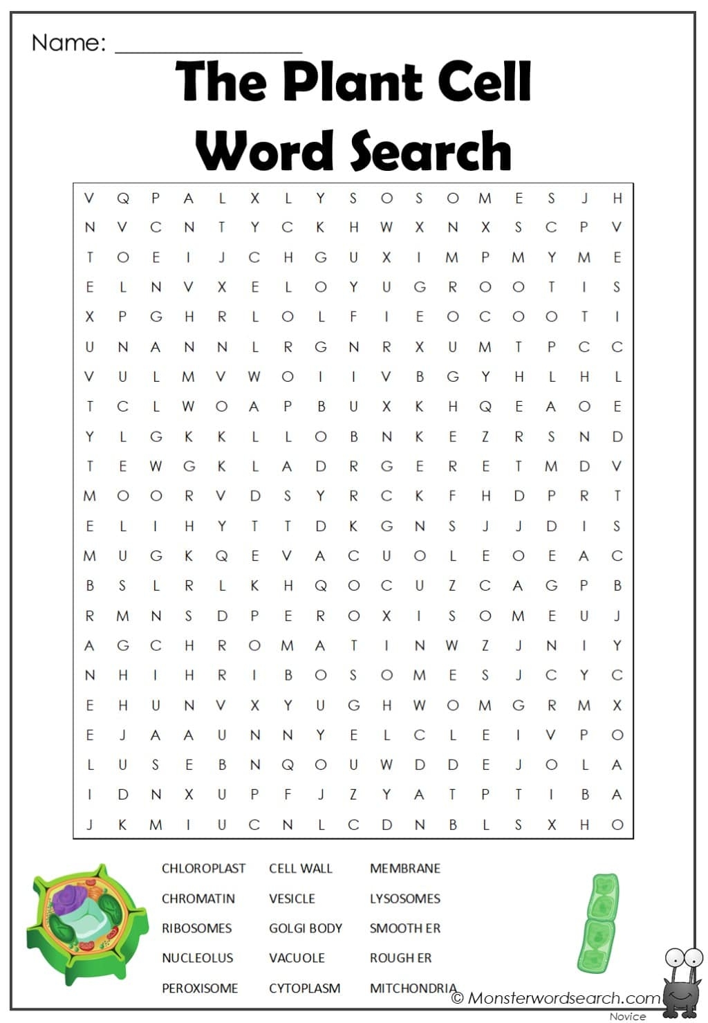 The Plant Cell Word Search Monster Word Search