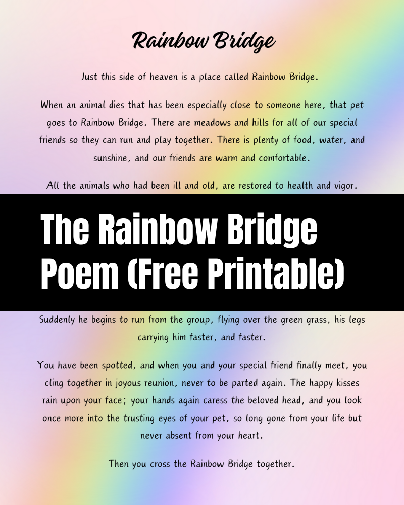 The Rainbow Bridge Poem Free Printable The Clever Heart