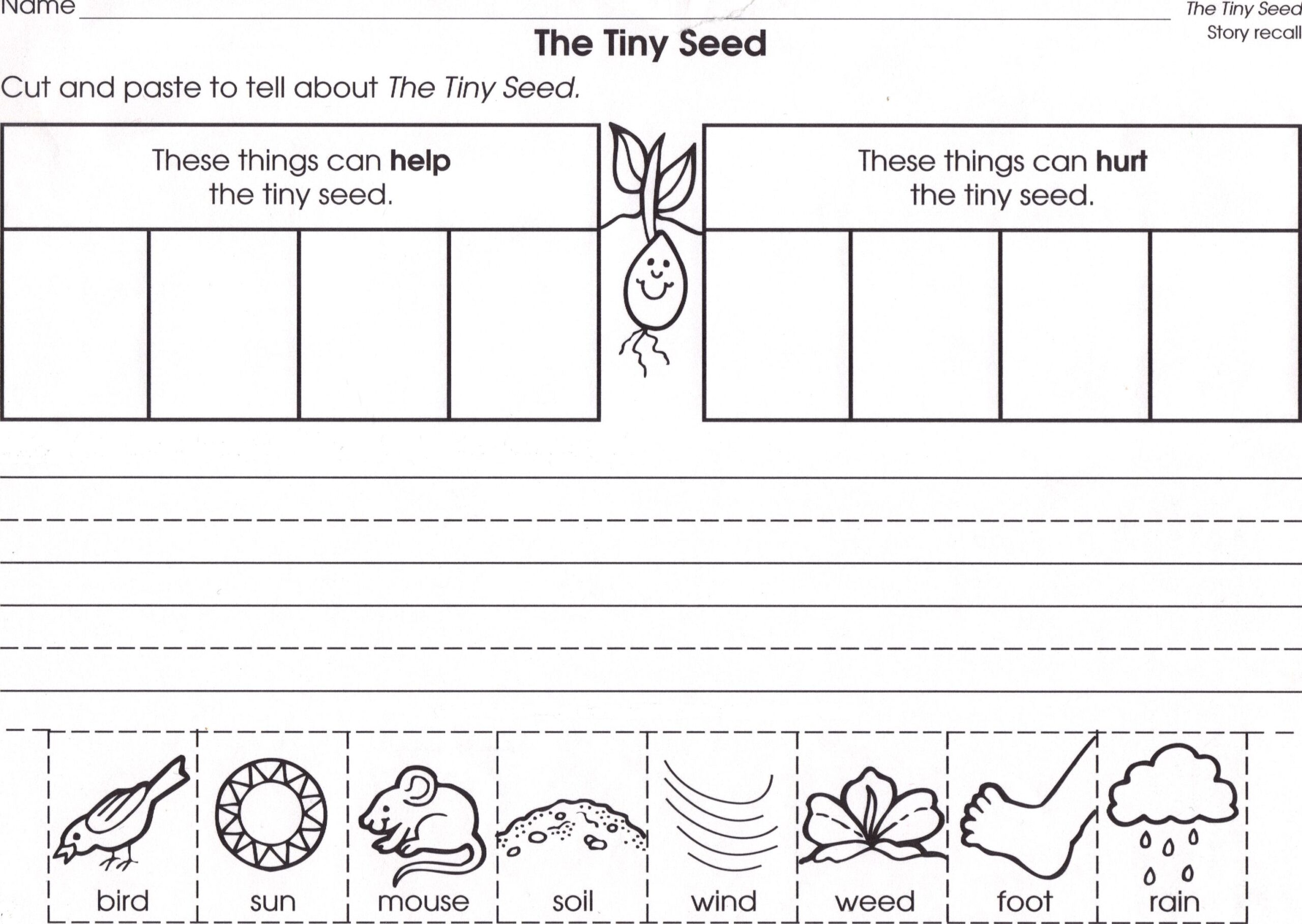 Tiny Seed The Tiny Seed Plants Kindergarten Tiny Seed Activities