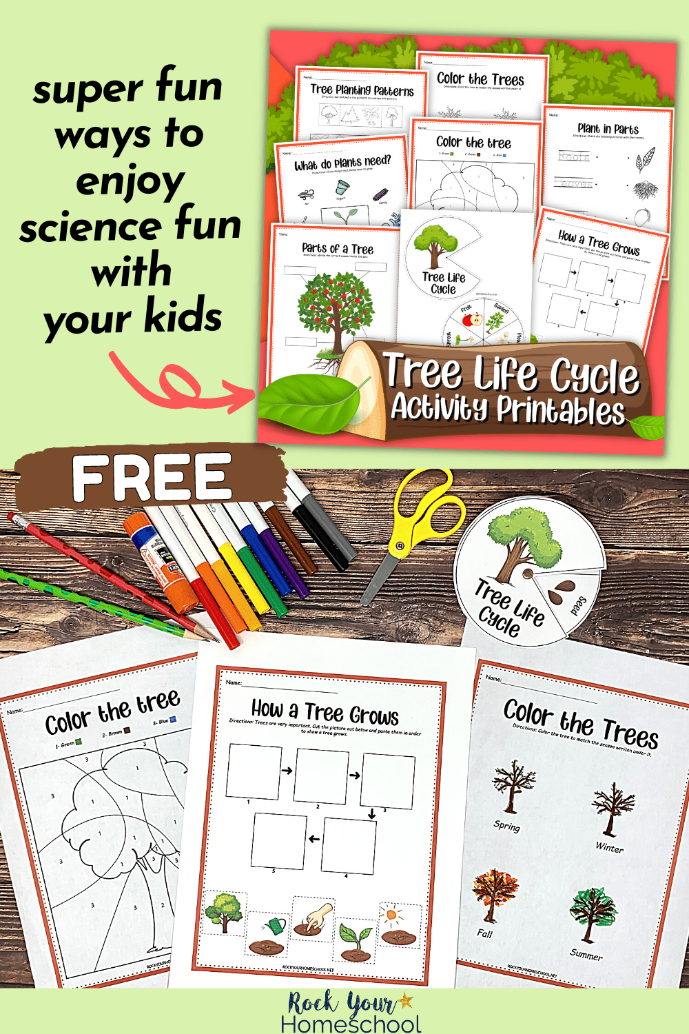 Tree Life Cycle Activities 5 Ways To Learn Free Printables 