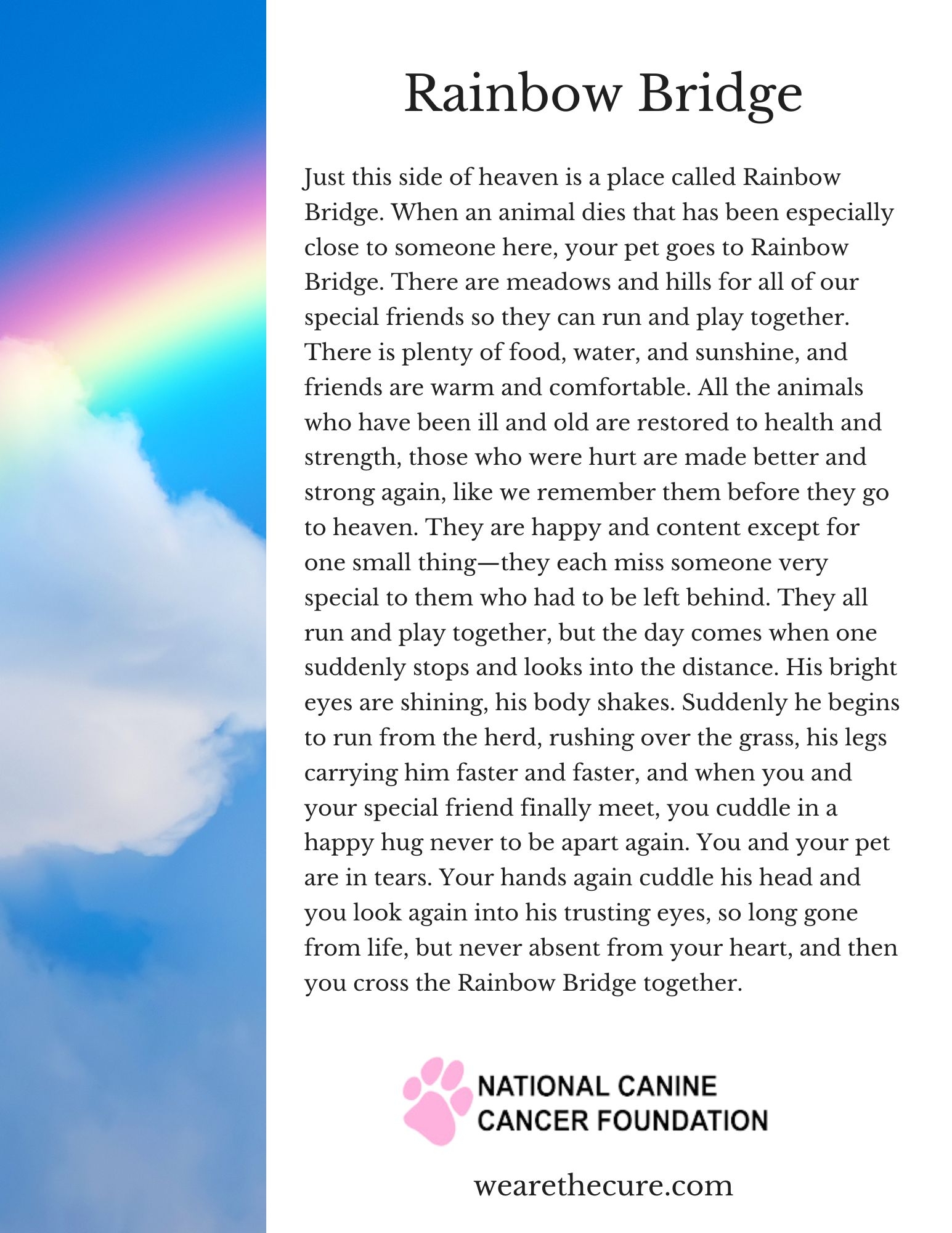What The Rainbow Bridge Poem Gets Perfectly Right About Pet Loss The National Canine Cancer Foundation