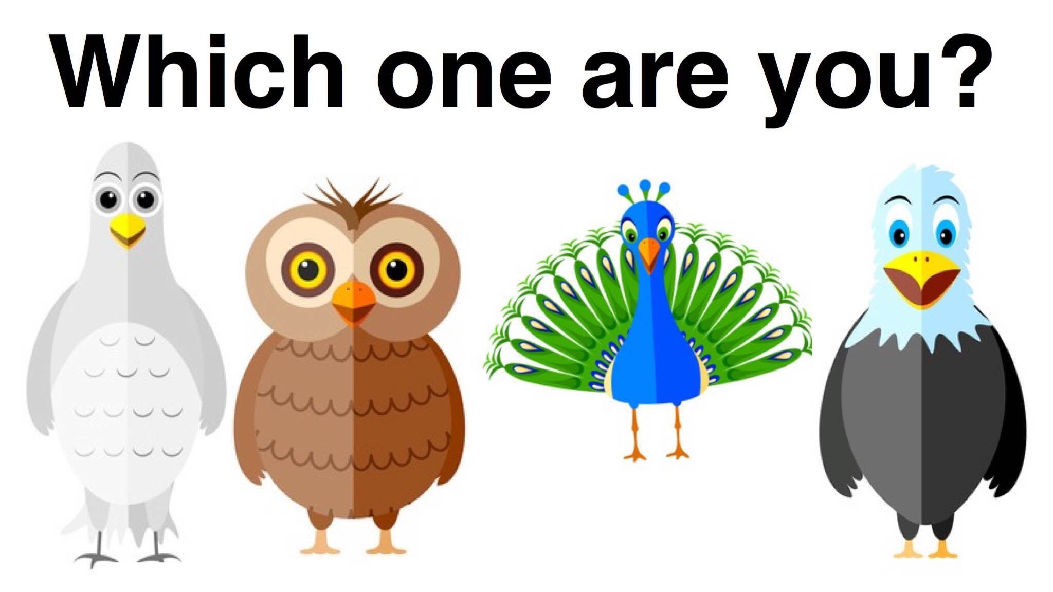 Which Bird Personality Type Are You Personality Personality Types Test Personality Game