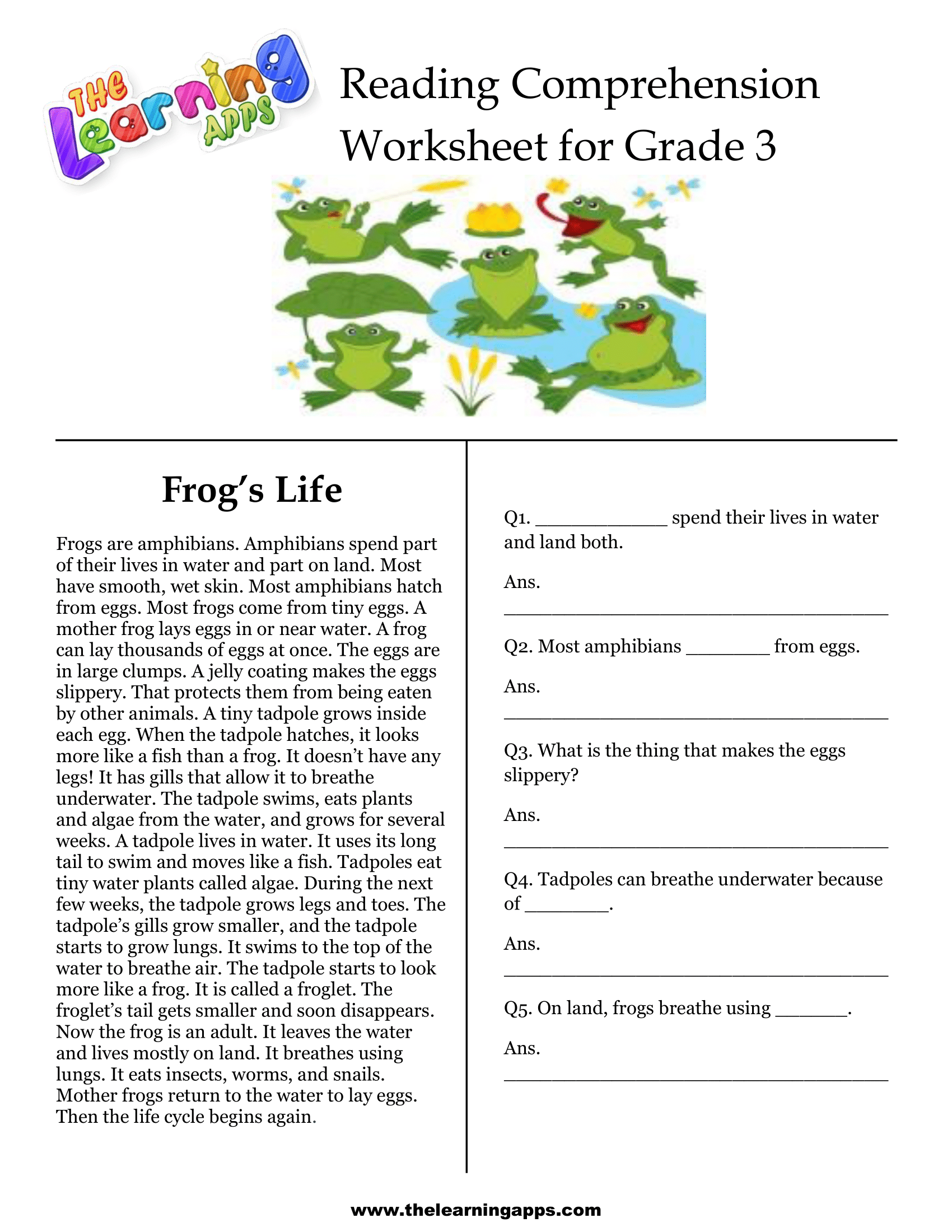 3rd Grade Reading Comprehension Printable Free Reading Comprehension Worksheets 3rd Grade Reading Comprehension Worksheets Reading Comprehension Worksheets
