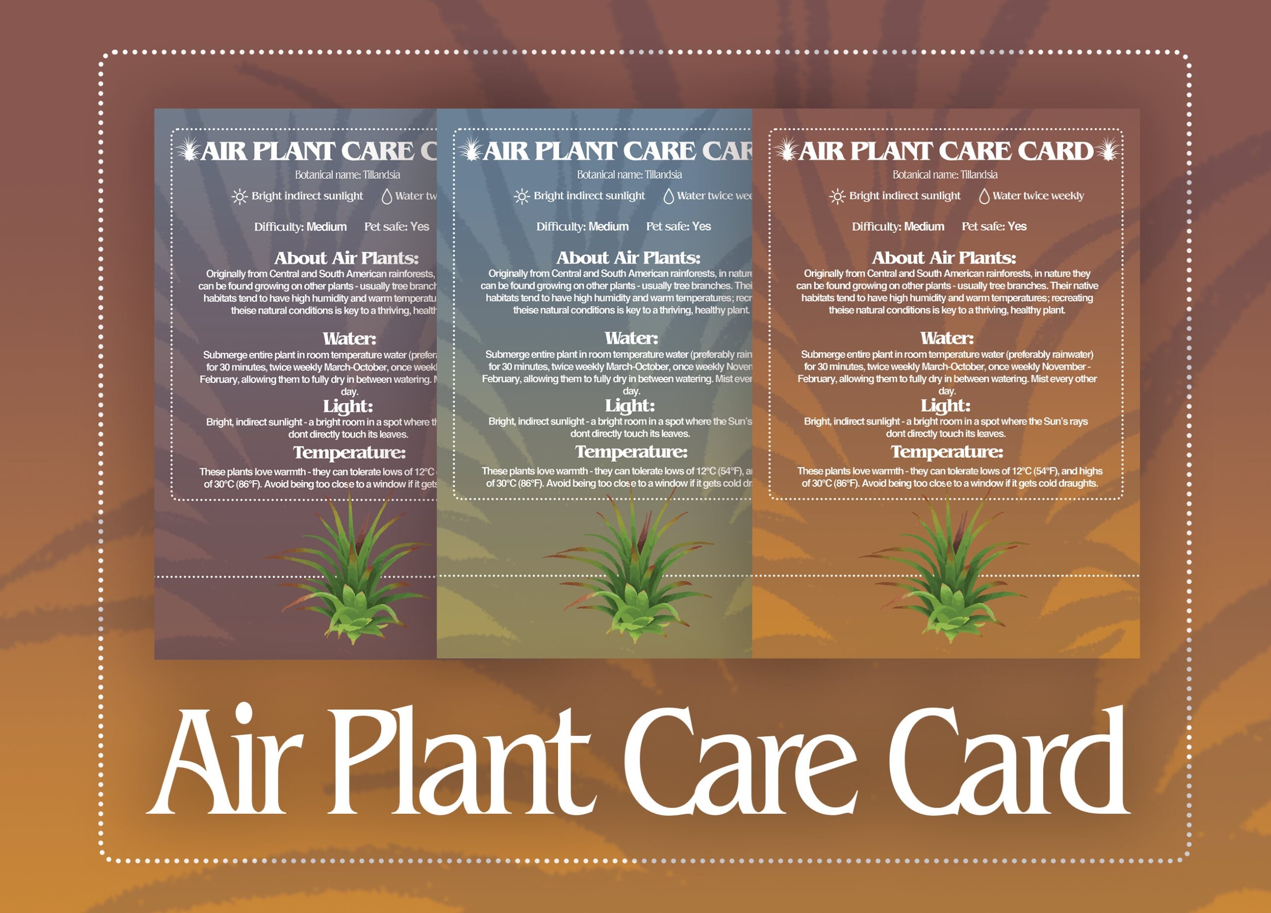 Air Plant Care Card Digital Air Plant Care Label Printable Houseplant Care Card Plant Care Instructions Printable Indoor Plant Care Gift Etsy