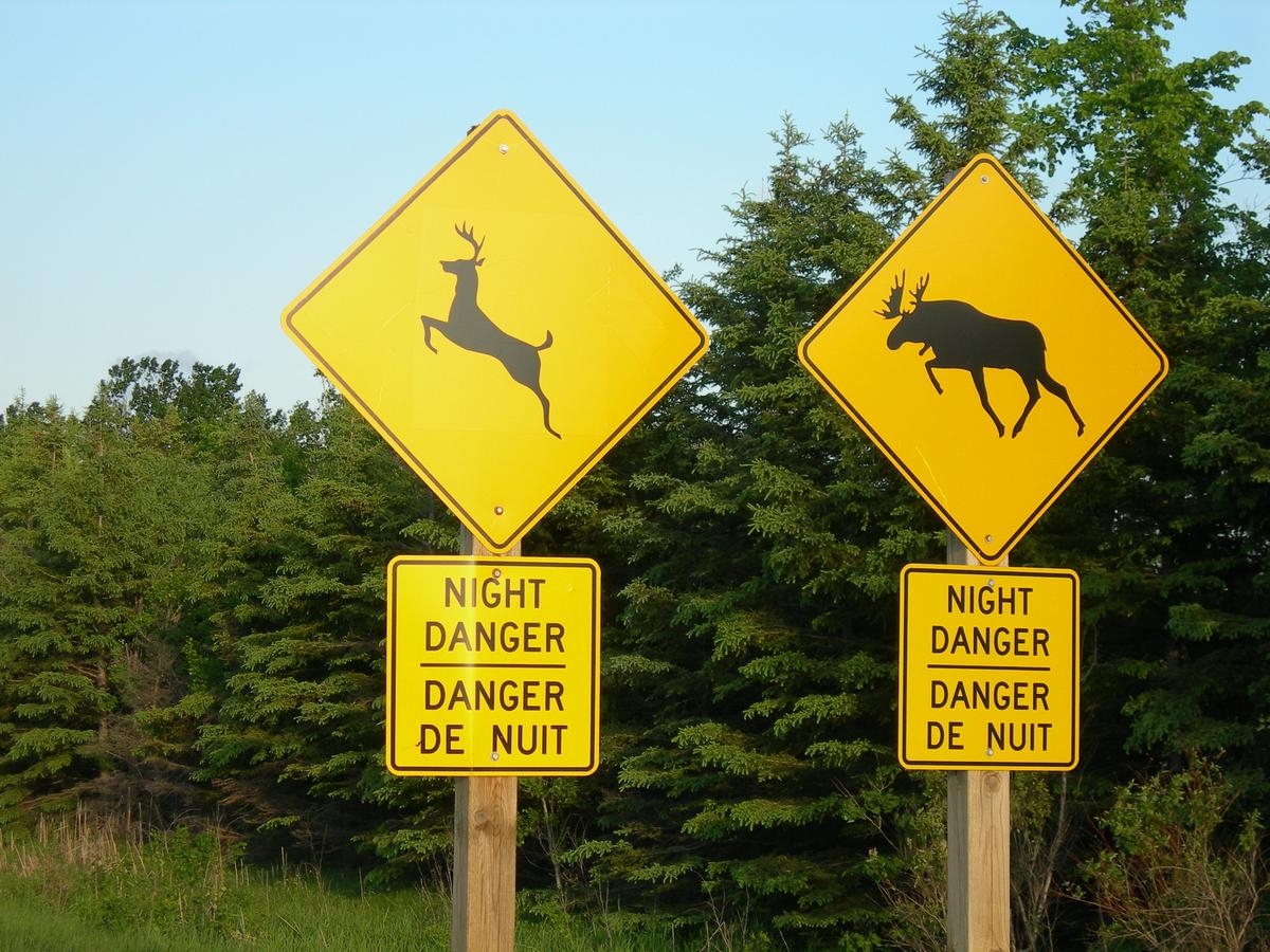 Deer Crossing Sign Printable