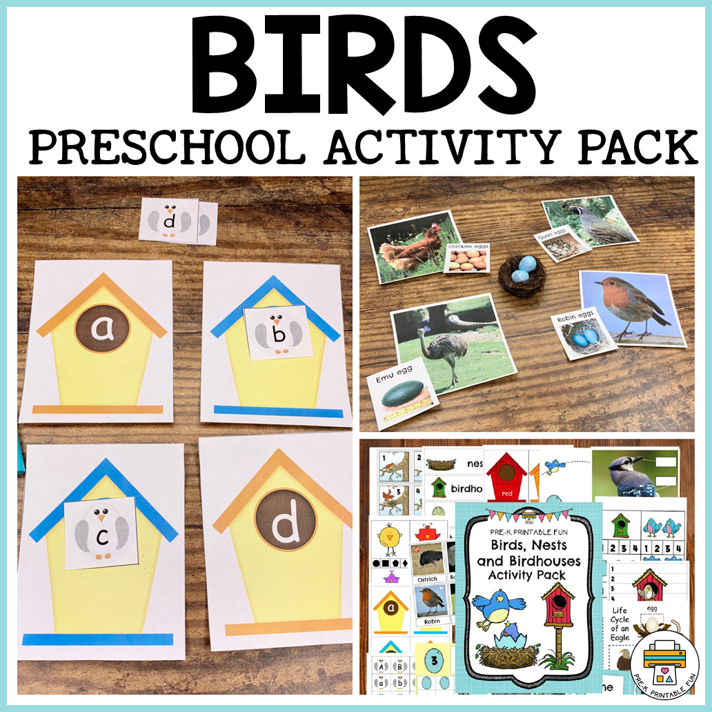 Bird Preschool Activities Pre K Printable Fun