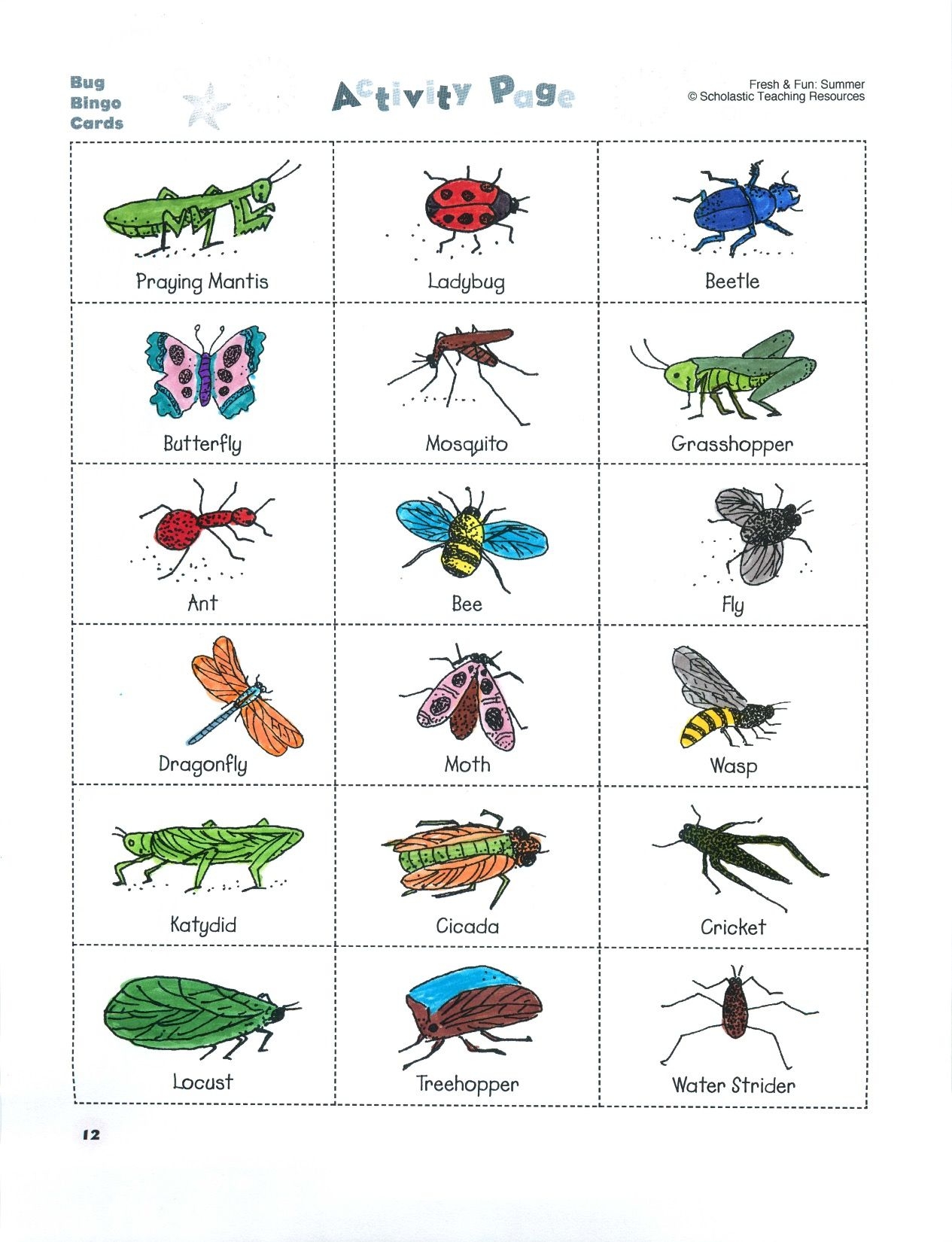 Build Science vocabulary With A Game Of Bug BINGO Explore How insects Are Alike And Different Kids Math Worksheets Bugs Preschool Fall Preschool Activities