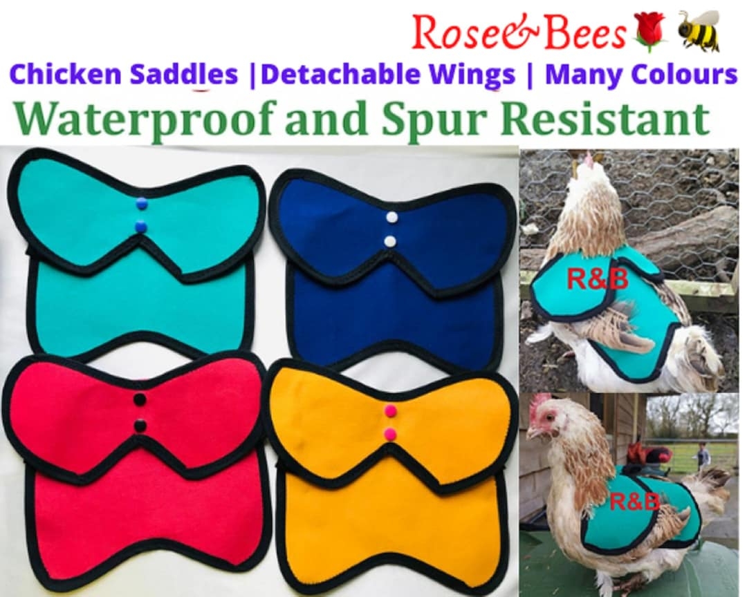 Printable Template Chicken Saddle Pattern With Wing Protectors