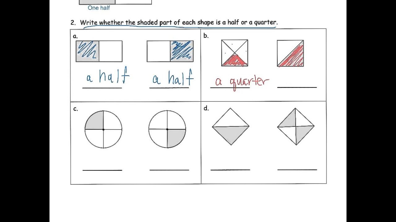 Halves And Quarters Grade 1 solutions Examples Homework Worksheets Lesson Plans 