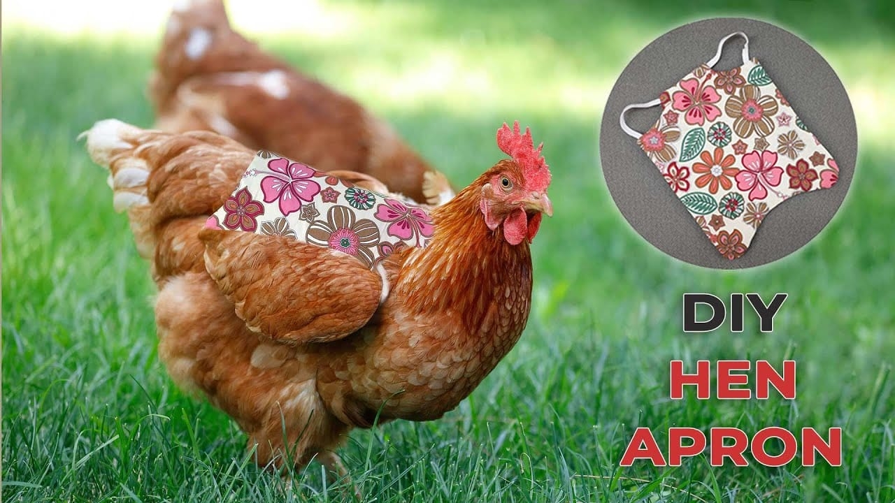 How To Make A Hen Apron Free Chicken Saddle Pattern Hello Sewing